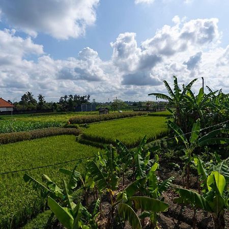 Oemah Joglo Bali Villa Ubud Dış mekan fotoğraf