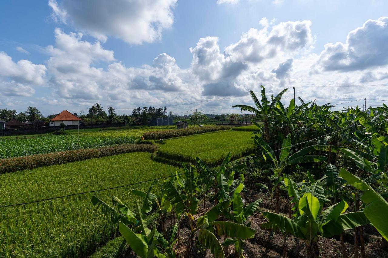 Oemah Joglo Bali Villa Ubud Dış mekan fotoğraf